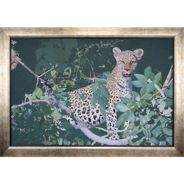 Contemporary Oil Painting on Board of a Leopard /Cheetah in a Tree by C. Davies 2010 For Sale