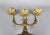 19th Century 1800s Pair of French Gilt Bronze Candelabras Louis XV Style For Sale - Image 5 of 8
