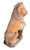 Italian Pair of Italian Terracotta Lions For Sale - Image 3 of 11