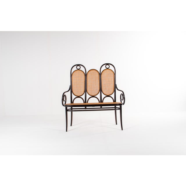 Bentwood & Cane Model 207 Bench by Michael Thonet for Thonet, 1980s For Sale - Image 11 of 11