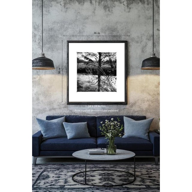 Fine art Giclee prints on Hahnemuhle Photo Rag 308gsm - a 100% cotton, acid-free, mould-made paper. Printed to Fine Art...