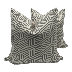 Carlucci Atomo Pillows- A Pair