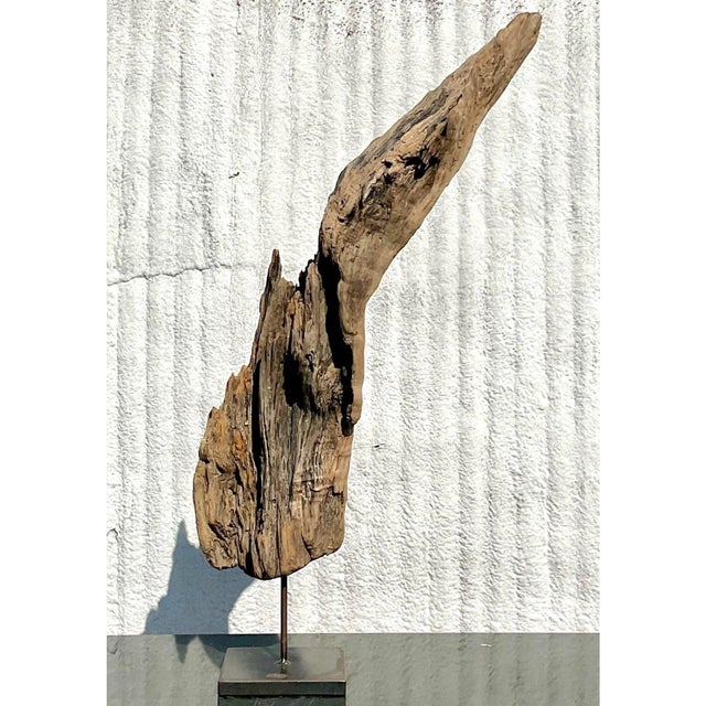 Wood Late 20th Century Driftwood Sculpture on Steel Plinth For Sale - Image 7 of 13