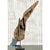 Wood Late 20th Century Driftwood Sculpture on Steel Plinth For Sale - Image 7 of 13
