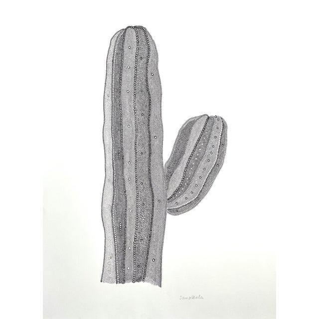 Original Sarah Vaaler Minimalist Desert Cactus Still Life Drawing For Sale