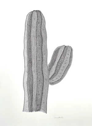 Original Sarah Vaaler Minimalist Desert Cactus Still Life Drawing