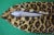 Late 20th Century Leopard Print Fleece Pillows Provenance: The Susie Hilfiger Collection- Set of 2 For Sale - Image 4 of 5