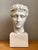 Vintage Plaster Classical Bust of Roman Warrior For Sale - Image 14 of 18