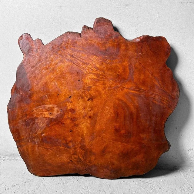 Yakusugi Wood Display, Japan, 1920s For Sale - Image 9 of 10