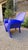 Richard III Armchair in Blue Polyurethane by Philippe Starck for Baleri Italia, 1985 For Sale - Image 12 of 17