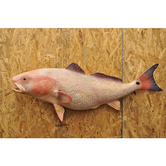Vintage Large Red Drum Full Wall Mount Taxidermy Redfish Fish Replica For Sale - Image 12 of 12