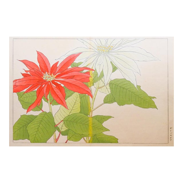 Early 20th Century Tanigami Konan Poinsettia Japanese Woodblock Print For Sale