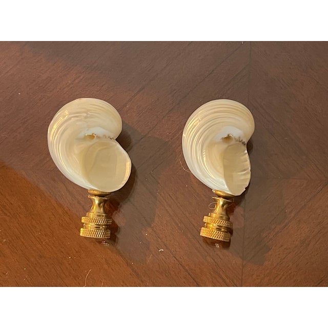 Beautiful mother of pearl turbo sea shells mounted on brass bases lamp finials.