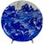 Early 20th Century Large Hand-Painted Blue and White Chinese Plate For Sale