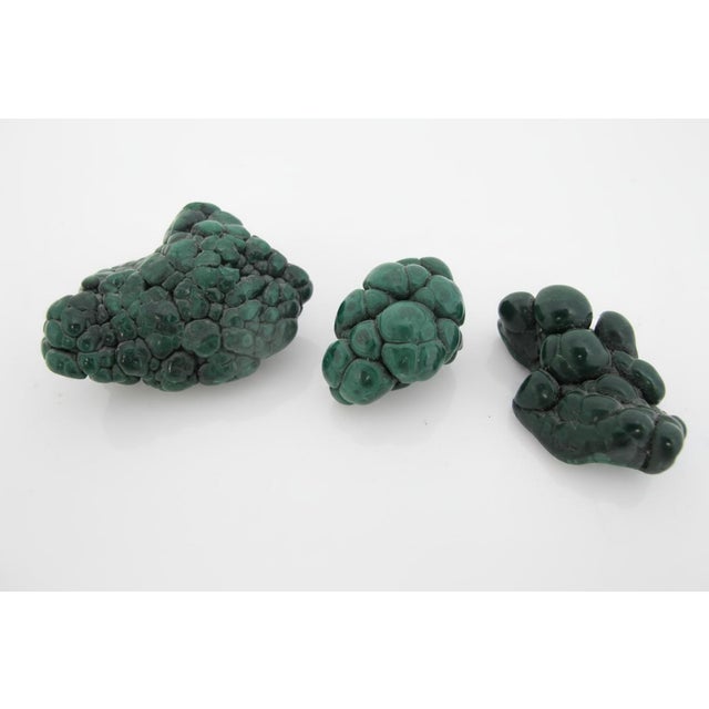 Green Polished Botryoidal Malachite Brain Cluster Gemstone Specimen Set of 3 For Sale - Image 8 of 10