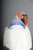Large King Vulture from Meissen, 1880 For Sale - Image 10 of 18