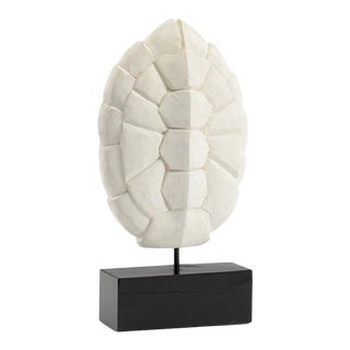 Wildwood Wood Turtle Shell Sculpture For Sale