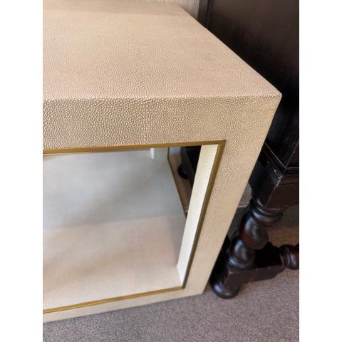 These simple, yet contemporary end tables are perfect for the minimalist. The tables are covered with a stingray-type...