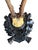 Rustic Roe Deer Trophy 175 Black Forest Antlers Mount For Sale - Image 3 of 5