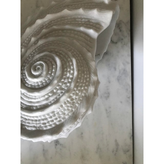 Late 20th Century White Resin Large Shell For Sale In New York - Image 6 of 10