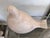 Mid-Century Modern Austin Productions 1981 Ceramic Dove Sculpture — Mid-Century Modern Cast Bird Figure With Incised Feather Detail For Sale - Image 3 of 11