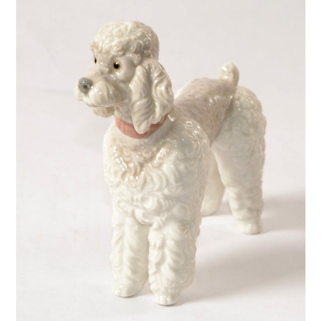 Lladro porcelain poodle figurines are exquisite, handcrafted sculptures from Spain, known for their fine detail, elegance,...