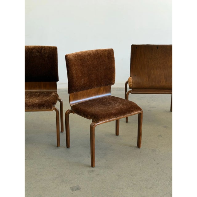 Wood 1970s Bentwood Dining Chairs - Set of Four For Sale - Image 7 of 18