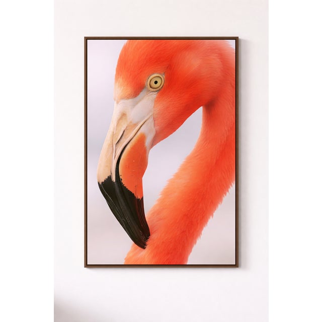 Flamingo Portrait Close-Up, Minimalist Wildlife Art Print, 24″ × 36″ For Sale In Buffalo - Image 6 of 7