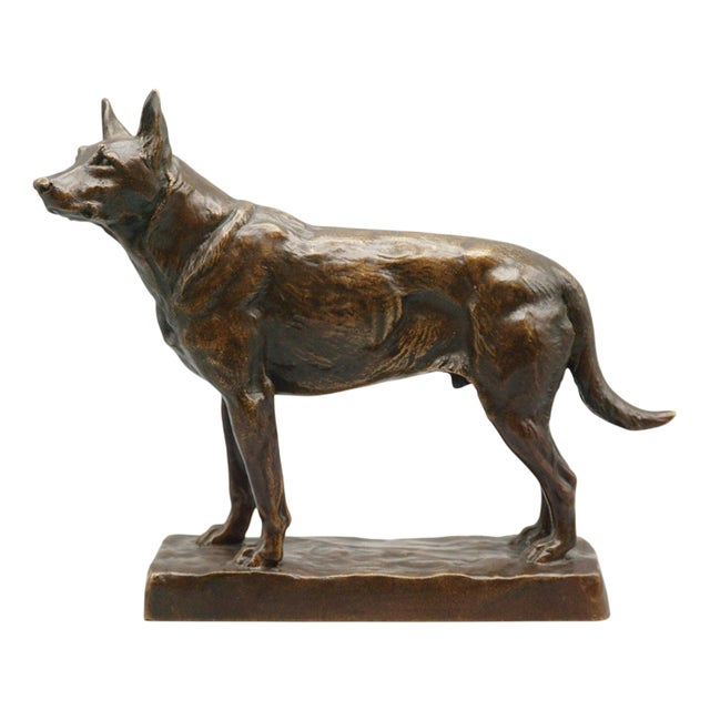 Amédéé Charles Loyseau, German Shepard, 1890s, Bronze For Sale