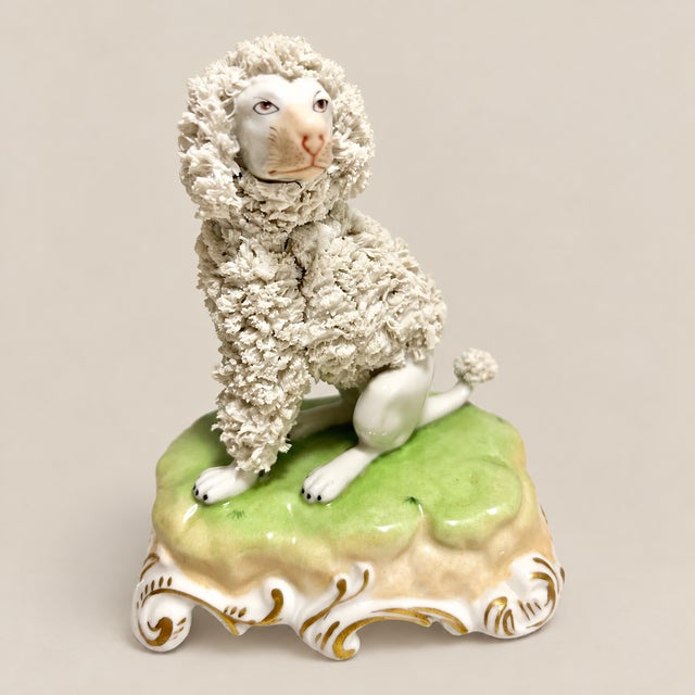 Antique Dresden Germany Porcelain Poodle With Applied Floral Encrustation For Sale In Naples, FL - Image 6 of 7
