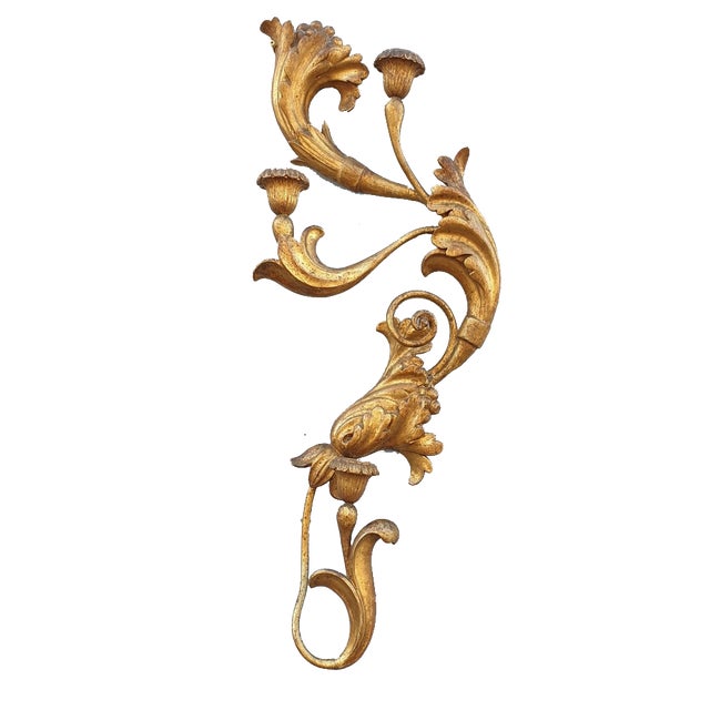 Large 19th Century Sculpted Gilded Wood Wall Light, Tuscany, Italy For Sale
