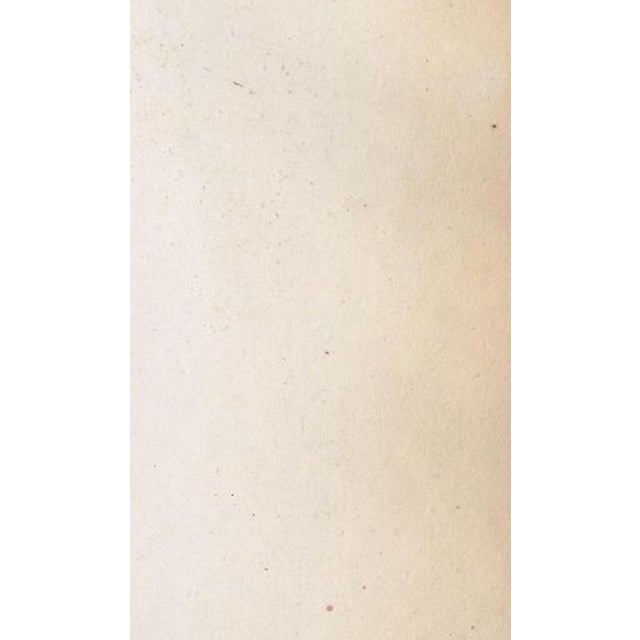 Ferrario, Chinese Farmer with Water Buffalo Agricultural Scene, 1815, Print For Sale - Image 13 of 14