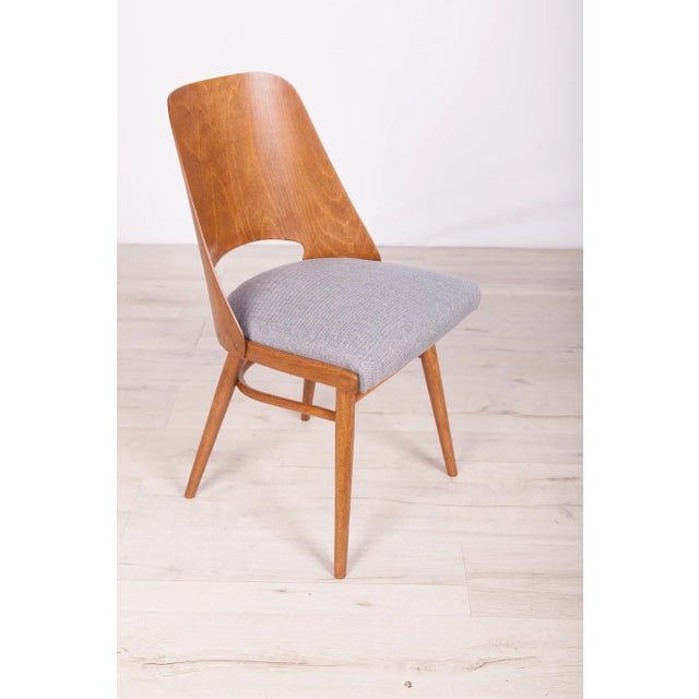 1960s Model Lollipop Dining Chairs from Tatra, 1960s, Set of 4 For Sale - Image 5 of 17