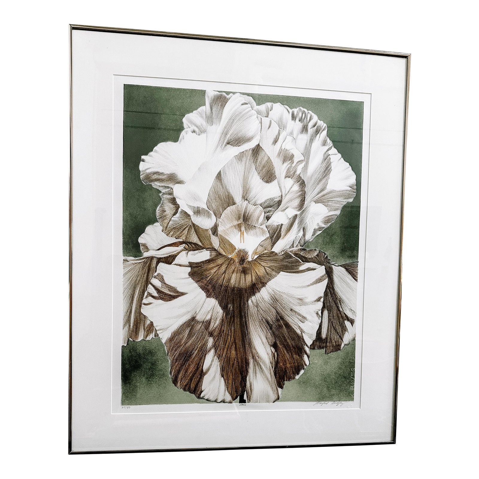 1992 Framed Iris Litho Signed and Numbered Print by Winifred Godfrey ...