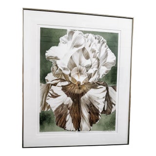 1992 Framed Iris Litho Signed and Numbered Print by Winifred Godfrey For Sale