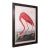 Large Vintage Flamingo Picture, English, Framed Print, Jj Audubon, Wildlife Art For Sale
