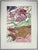 About This Piece: An original colour woodcut with screenprint on paper by Dutch artist Frits van Roon (b. Curaçao, 1947),...