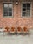 DCW Dining Chairs in Walnut attributed to Charles & Ray Eames for Herman Miller, 1950s, Set of 4 For Sale - Image 17 of 18