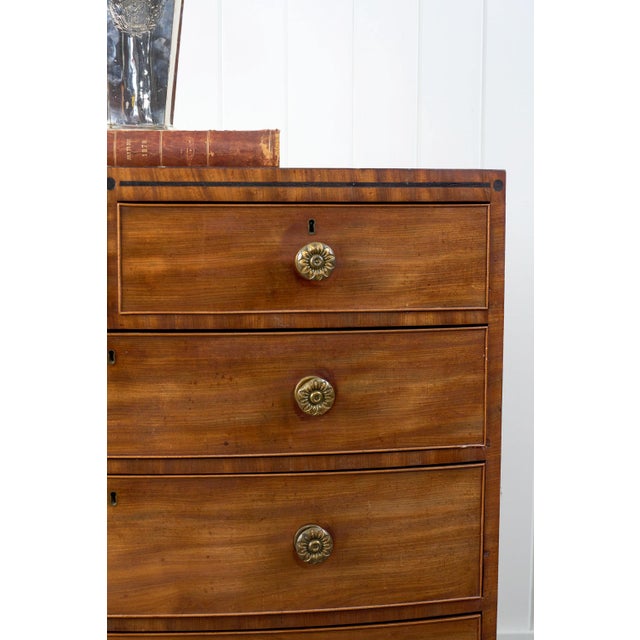 George III Period Mahogany Bowfront Chest With Brass Floral Knobs (C. 1820) For Sale - Image 4 of 15