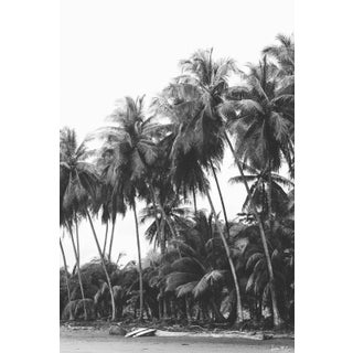 "Barefoot Adventures" - Limited Edition Fine Art Print - Vertical 24"x36" - Black and White Costa Rica Surf and Palm Trees Print by Kristen M Brown For Sale