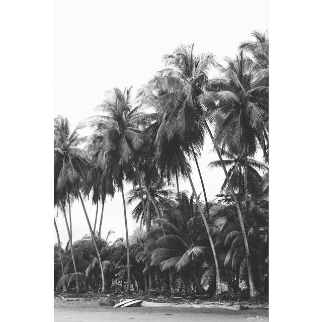 "Barefoot Adventures" - Limited Edition Fine Art Print - Vertical 24"x36" - Black and White Costa Rica Surf and Palm Trees Print by Kristen M Brown For Sale