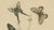 Paper E. Guérin, Butterfly with Caterpillars, 1835, Engraving, Set of 2 For Sale - Image 7 of 11