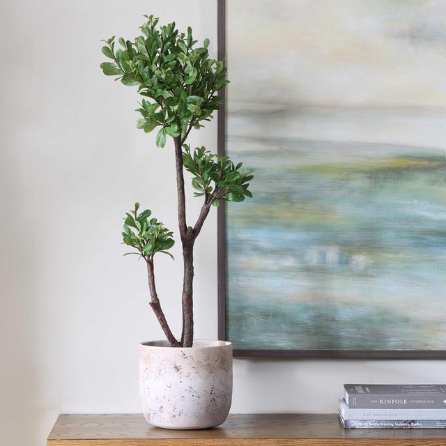 Traditional Arbor Strawberry Tree For Sale - Image 3 of 6