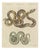 Bertuch, Two Patterned Snakes in Coils, 1805, Print For Sale