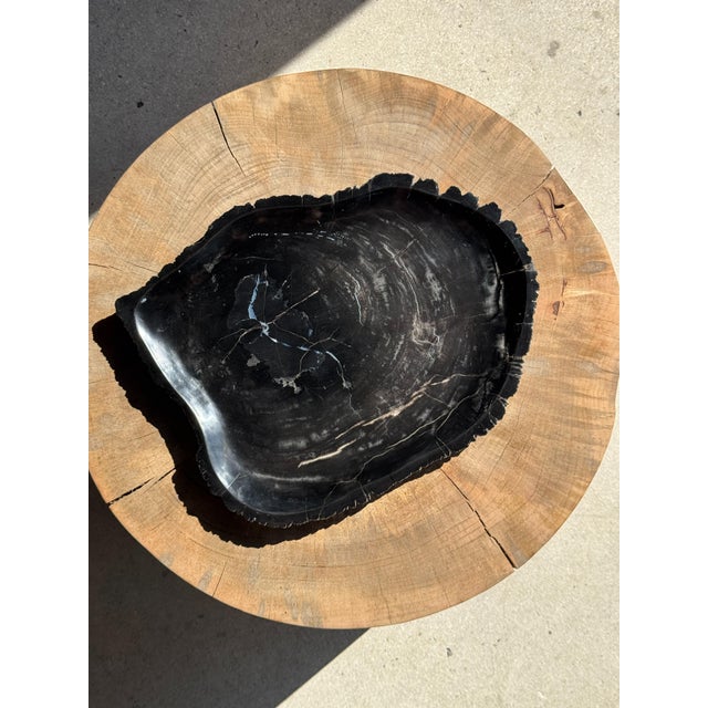 Large Trinket Tray in Black Petrified Wood For Sale - Image 14 of 16