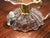 Bell-Flower Murano Glass and Brass Table Lamps from Barovier, Italy, 1940s, Set of 2 For Sale - Image 14 of 16
