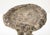English Composite Stone Faux Bois Birdbath With Squirrels Garden Ornament, English 20th C. For Sale - Image 3 of 13