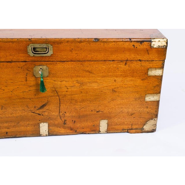 Antique Military Campaign Camphorwood Trunk Coffer, 1840s For Sale - Image 9 of 15