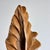 Brown Italian Phytomorphic Abstract Sculpture in Natural Ash, 1960s For Sale - Image 8 of 18