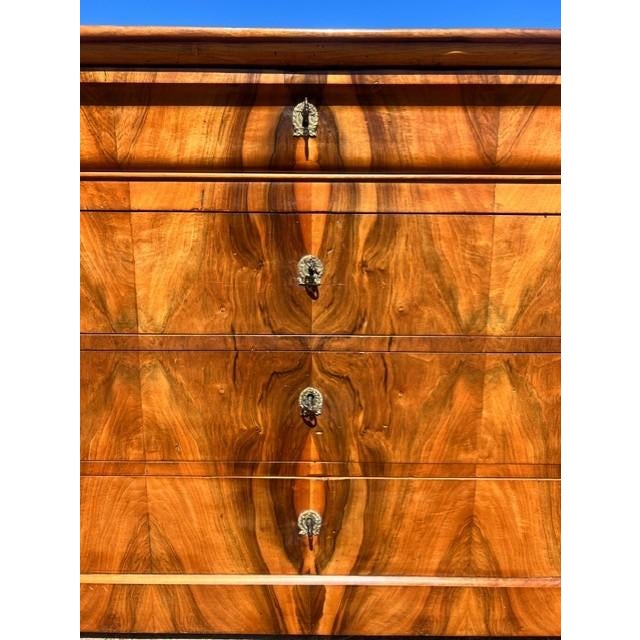19th Century French Burl Walnut Chest of Drawer / Commodes For Sale - Image 10 of 17